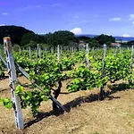 Attractive Mansion With Pool Cignano (Tuscany)