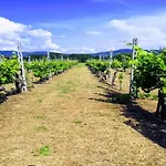 펜션 Attractive Mansion With Pool Cignano (Tuscany)